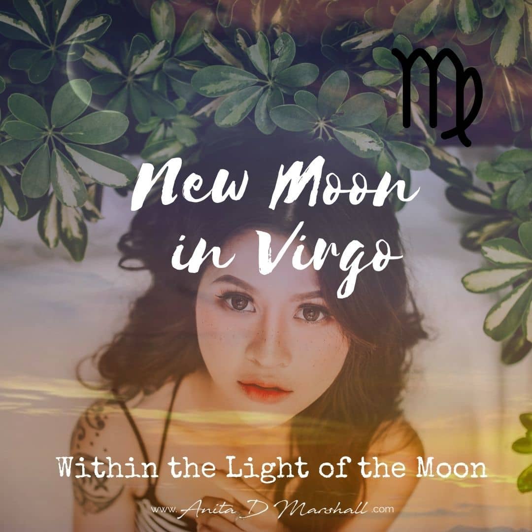 New Moon in Virgo Anita D Marshall