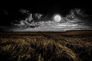 Full Harvest Moon