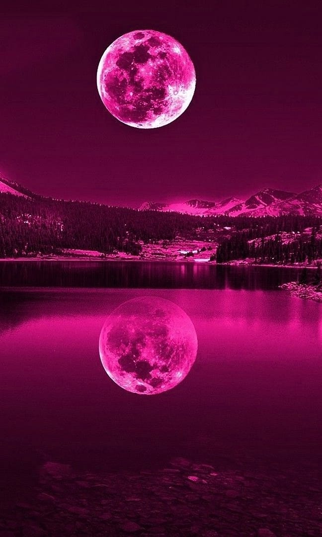 Pink Moon