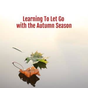 Letting Go with the Autum Season